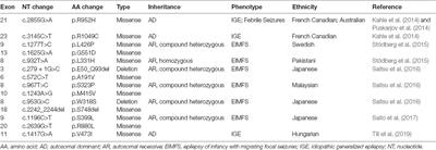 Identification of KCC2 Mutations in Human Epilepsy Suggests Strategies for Therapeutic Transporter Modulation